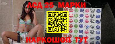 apvp Гусев
