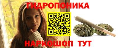 эйфоретик Гатчина