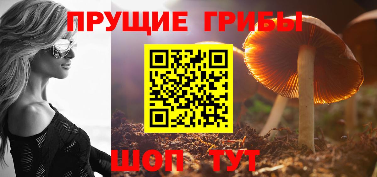 Галлюциногенные грибы мухоморы Малоярославец